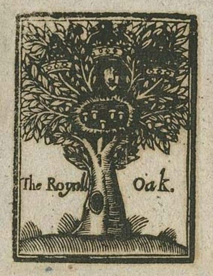 The oak tree at Boscobel that hid the King during his escape from the Battle of Worcester