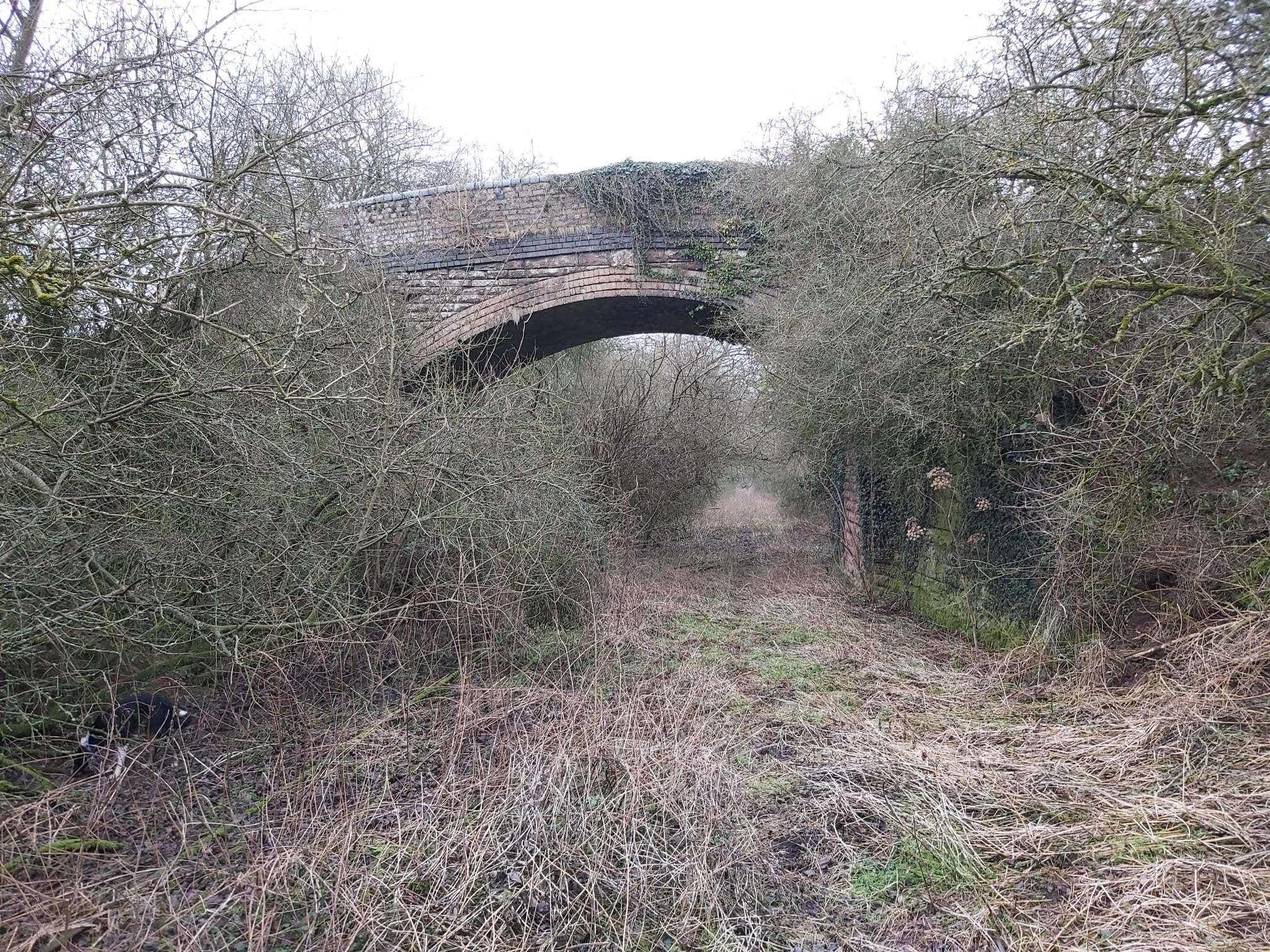 Much of the line is now overgrown, but some bridges remain 