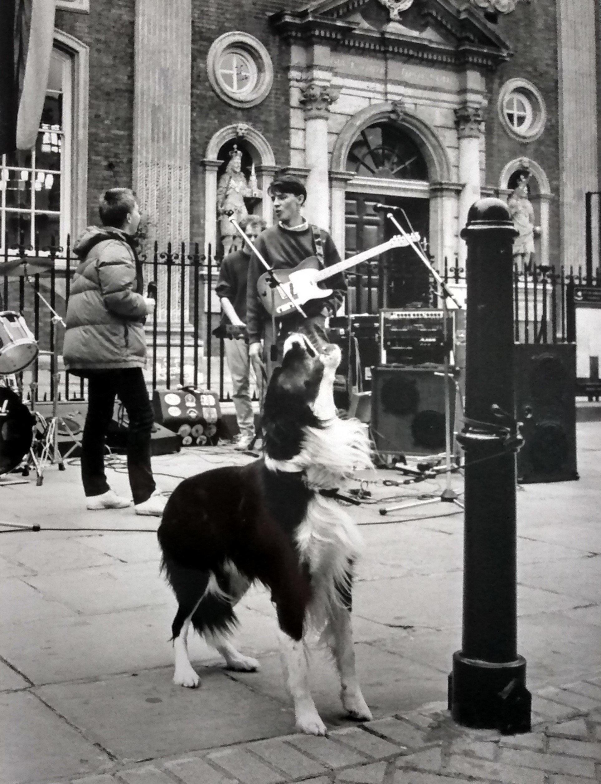 Theres no stopping this four-legged friend from joining in with the musical fun outside the Guildhall during the twinning visit in 1990