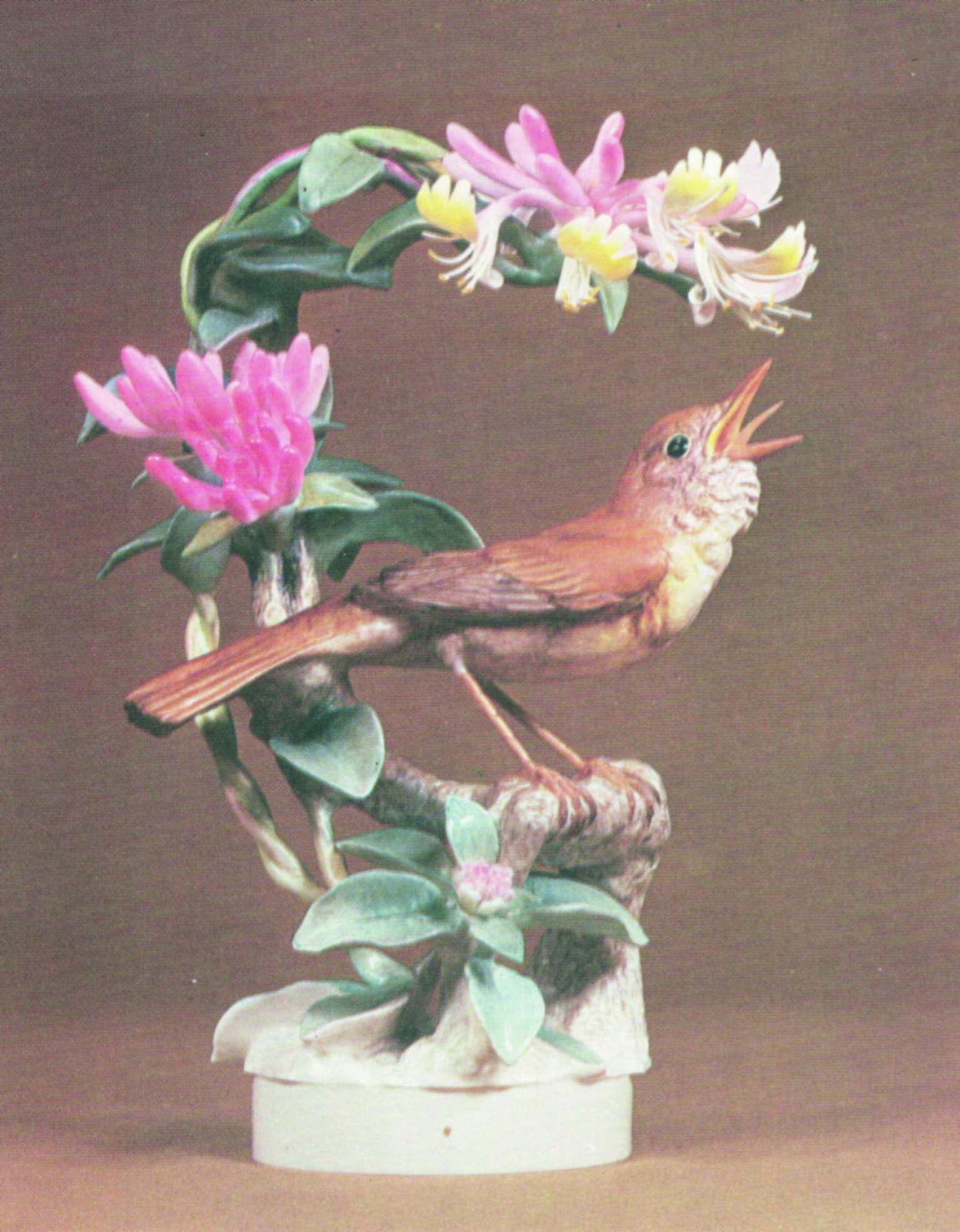 Dorothy Doughty’s beautiful Nightingale and Honeysuckle