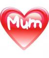 . MUM