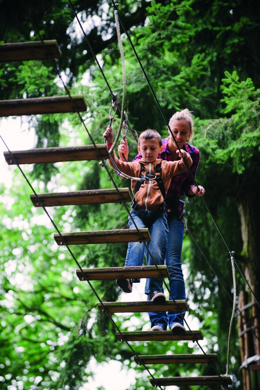 Go Ape Swings To Record Turnover Worcester News